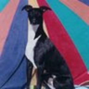 Meet your Posher, Lynne